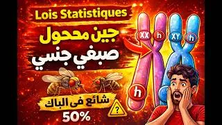 Miniature : ⚠️ هاد التمرين كيدير الكارثة فالباك! Un gène porté sur un chromosome sexuel | 2BAC SVT