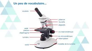 Miniature : #Méthodo : Découvrir le microscope optique