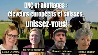 Miniature : DNC et abattages: l'heure des comptes - Appel à tous les éleveurs d'Europe et de Suisse