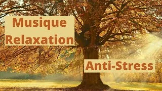 Miniature : musique détente & relaxation anti-stress