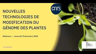 Miniature : Nouvelles technologies de modification du génome des plantes