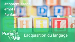 Miniature : L’acquisition du langage