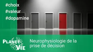 Miniature : Neurophysiologie de la prise de décision