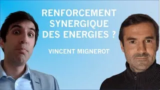 Miniature : Renforcement synergique des énergies ? Avec Vincent Mignerot
