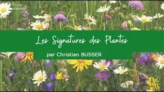 Miniature : Stage de Signatures - Christian BUSSER