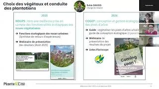 Miniature : Bilan 2025 et perspectives 2026 de Plante & Cité