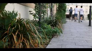 Miniature : Désimperméabiliser les sols urbains : de la recherche à l’action au sein des villes