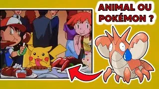 Miniature : Les animaux existent-ils dans le monde des Pokémon ?