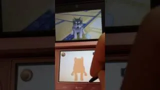 Miniature : MA DS3D ROSE + JE VOUS FAIS DÉCOUVRIR LE JEU NITENDOGS + CATS !