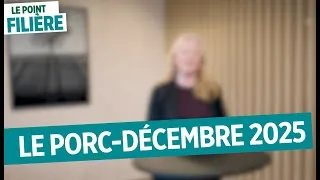 Miniature : Point filière : marché du porc - décembre 2025
