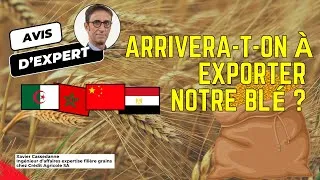 Miniature : Une meilleure récolte de blé mais le doute plane sur les exportations