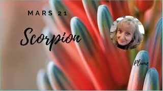Miniature : Scorpion Mars 21, La liberté est un choix. Changer nos habitudes et se réinventer dans l'approche !
