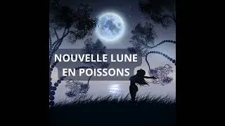 Miniature : 4 jours pour tout transformer - Nouvelle Lune