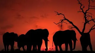 Miniature : À la découverte de la littérature Africaine/épisode 02 partie 1#