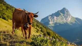 Miniature : Agriculture : cultiver un avenir durable et harmonieux