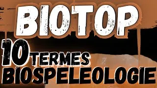 Miniature : BioTOP - 10 Termes pour explorer la Biospéléologie