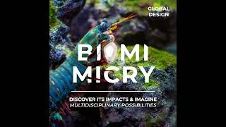 Miniature : Biomimicry, discover its impacts and imagine multidisciplinary possibilities
