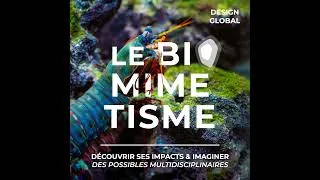 Miniature : Le Biomimétisme, Découvrir ses impacts & imaginer des possibles multidisciplinaires