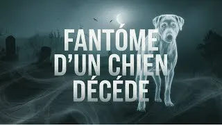 Miniature : Phénomènes Étranges : Un Propriétaire Filme le Fantôme de son Chien Décédé