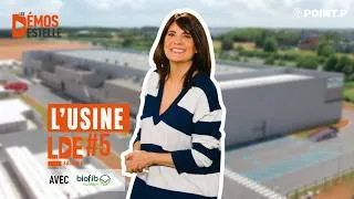 Miniature : Du champ de chanvre au chantier : la filière BIOFIB - Les Démos d'Estelle