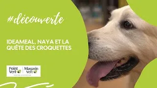 Miniature : Ideameal, Naya et la quête des croquettes