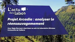 Miniature : [L'ACTU DES LABOS] Arcadia : analyser le réensauvagement (rewilding) en Europe