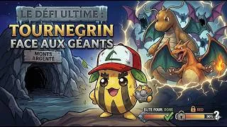 Miniature : Tournegrin vs le Conseil 4 & RED : Mission Impossible ?