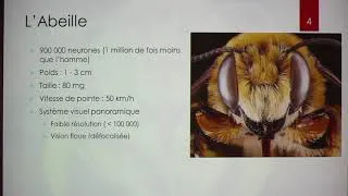 Miniature : [Obs/IN 2017 ] - Micro-drone autonome inspiré de la perception des abeilles - Erik Vanhoutte