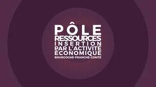 Miniature : Pôle Ressources Insertion par l'Activité Économique BFC
