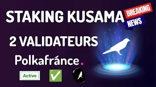 Miniature : 🔊 NEWS : REJOINDRE LES VALIDATEURS POLKAFRANCE SUR KUSAMA 🐦🛡️