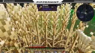 Miniature : [FR] E1 Polygames | Minecraft1.7.10: Journey map | inventory chest | Morph | iron chest
