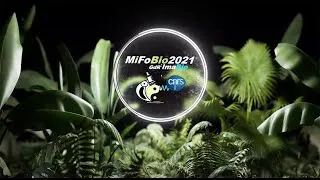 Miniature : Ecole de Microscopie fonctionnelle en biologie - MIFOBIO Teaser 2021