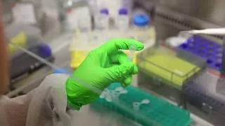 Miniature : Ecole de Microscopie fonctionnelle en biologie - MIFOBIO Teaser 2016