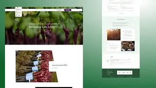 Miniature : FFPV | Refonte site WordPress pour fédération professionnelle avec espace membres et forum