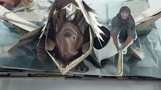 Miniature : Harry Potter Créatures Magiques  Présenté par Pop-Up-Féerie