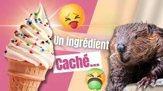 Miniature : Vous mangez du castor sans le savoir ?! 🦫😱 (Le secret dégoûtant de la vanille !)