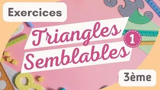 Miniature : ✏️ 4ème : Les Triangles Semblables #1 - Exercices 📝