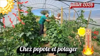 Miniature : CANICULE AU POTAGER : LES CONSEQUENCES DRAMATIQUES SUR NOS LEGUMES !