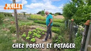 Miniature : JUILLET 2026 - QUE SEMER ET PLANTER AU POTAGER ENTRE 2 CANICULES?