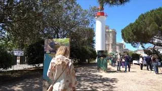 Miniature : Le Port de plaisance de La Rochelle dévoile un nouvel inventaire de la biodiversité portuaire.