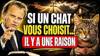 Miniature : Pourquoi Dieu a Permis ce Chat dans Votre Maison ? Ce Que la Bible Révèle | Billy Graham