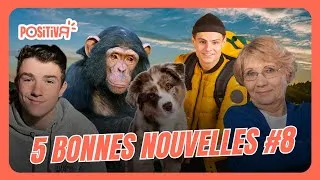 Miniature : Des chiots sauvés, un enfant généreux et une super mamie ! 5 Bonnes Nouvelles #8