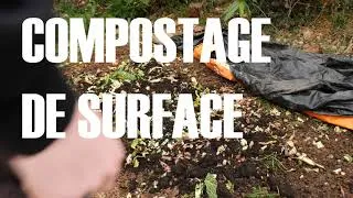 Miniature : TUTO Compostage de surface pour un potager productif !