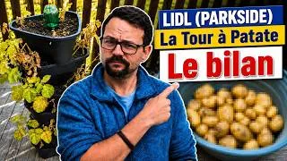 Miniature : LIDL JARDINAGE : La Tour à Patates, le verdict après 3 mois !
