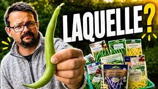 Miniature : Haricots Verts : 10 variétés pour trouver la meilleure (sans fils)