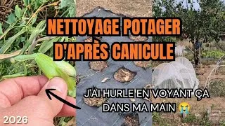 Miniature : 39🪴 Nettoyage potager après la canicule | Partie 1 | #potager #canicule #jardin #mantereligieuse