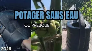 Miniature : 37🪴 Potager sans eau ou presque #potagersanseau #potager 