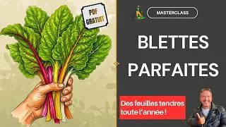 Miniature : Réussir vos BLETTES : le guide complet pour un potager généreux