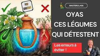 Miniature : L'oya fonctionne ? Oui, mais pas pour tous vos légumes