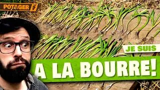 Miniature : 🧑‍🌾 Que faire au potager cette semaine de JUILLET ? 🌱 Poireaux, carottes… je suis à la bourre ! 😅